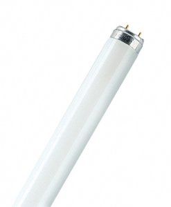 L18W/840 PLUS ECO Лампа люминесцентная  OSRAM G13 d26x590 4000K холодный белый