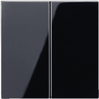 A595SW Jung Клавиша для сдвоенных выключателей, черный